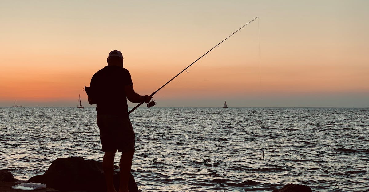 Best Fishing Rods